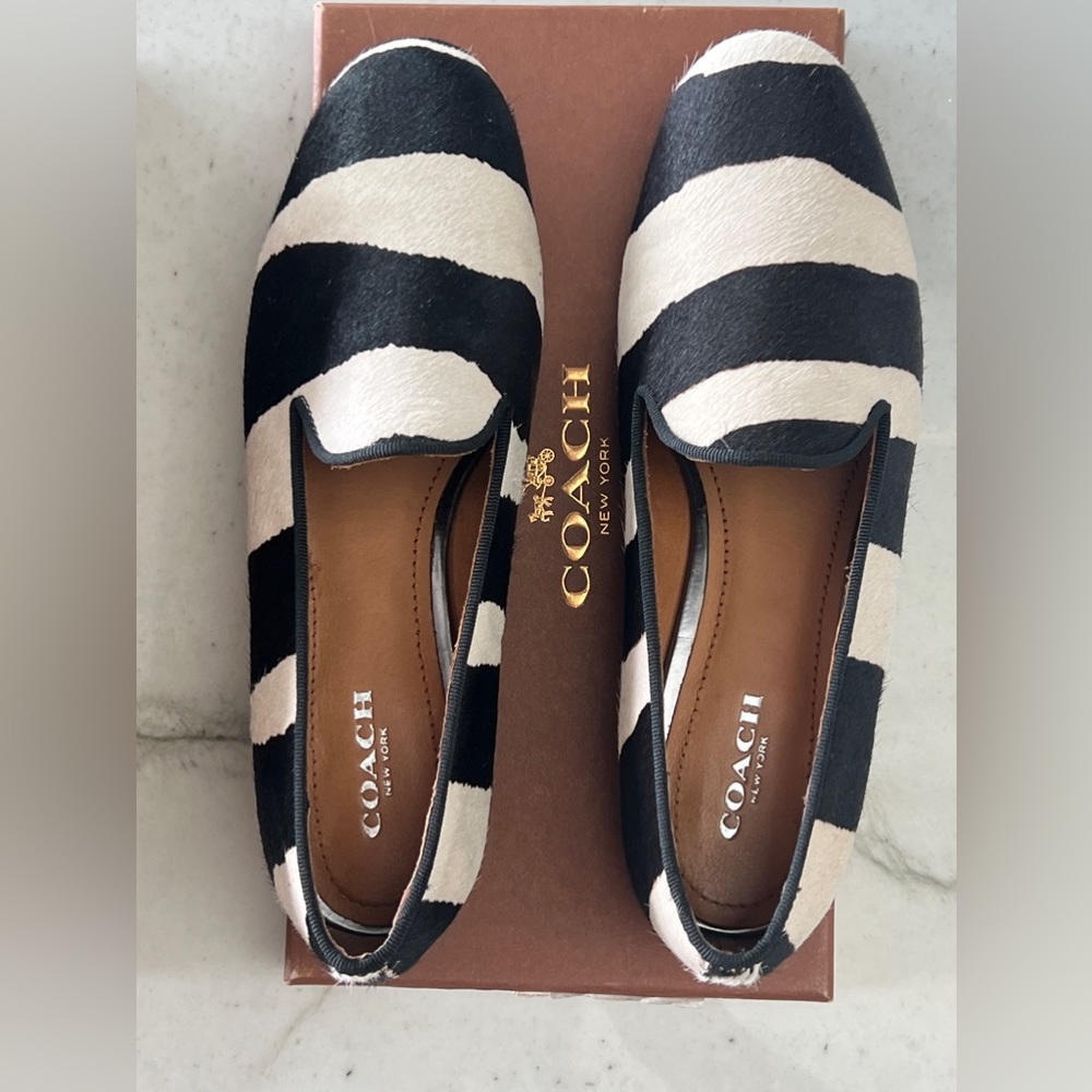 Womens Coach shoes Brand new never used coach shoes 6.5 with original box